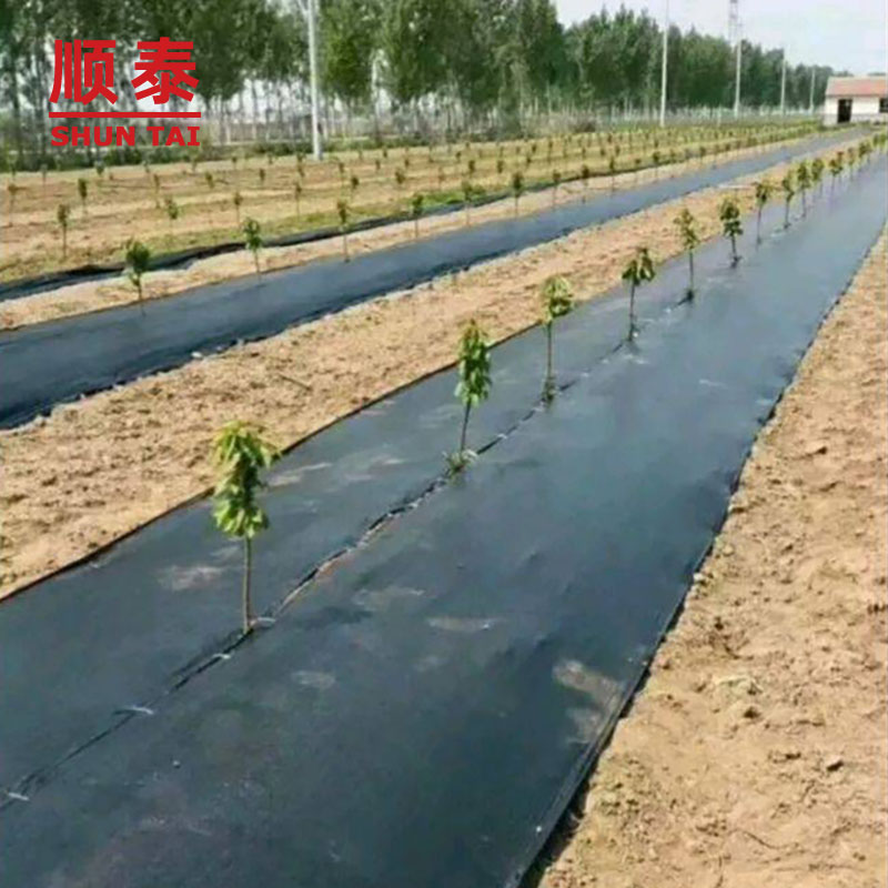 pp polypropylene fabric weed barrier mat for agriculture