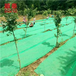 Non-woven Fabric Agriculture Cover Plant Cover
