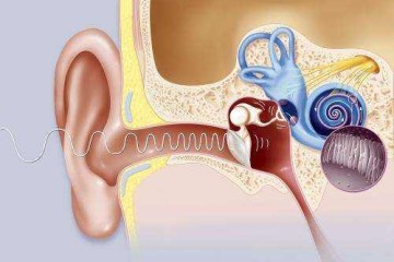 How To Choose The Hearing Aid For The Elderly People ?