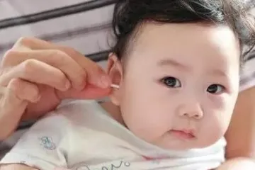 가장 뜨거운 시간이오고 있습니다! 귀도 열사병 예방해야지~