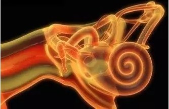 Health knowledge about inner ear 1-2