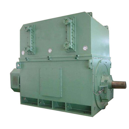 High Voltage Squirrel Cage Motors, High Voltage Slip Ring Motors, Low