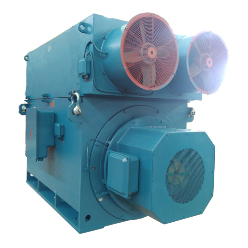 High Voltage Squirrel Cage Motors, High Voltage Slip Ring Motors, Low