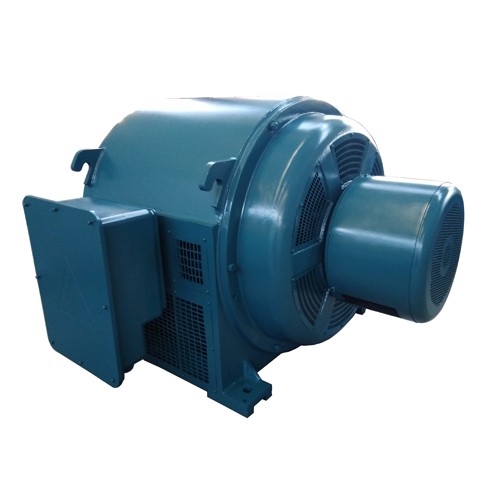 High Voltage Squirrel Cage Motors, High Voltage Slip Ring Motors, Low