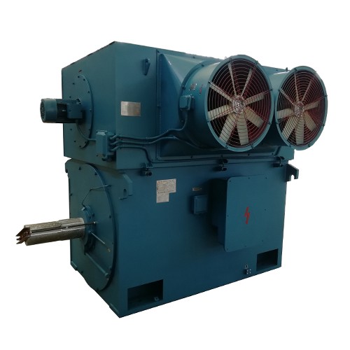 High Voltage Squirrel Cage Motors, High Voltage Slip Ring Motors, Low