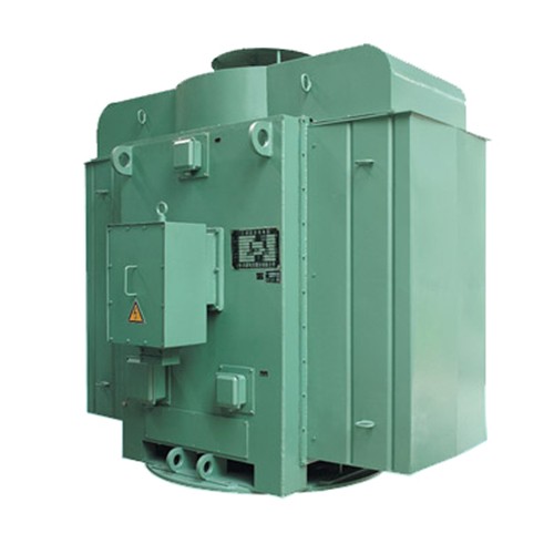 High Voltage Squirrel Cage Motors, High Voltage Slip Ring Motors, Low