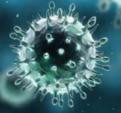 Mengenai kepada Coronavirus