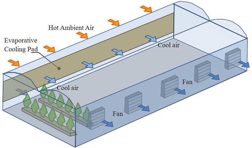 Almohadilla de enfriamiento evaporativo