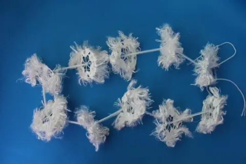 وظيفة الحشو البيولوجي